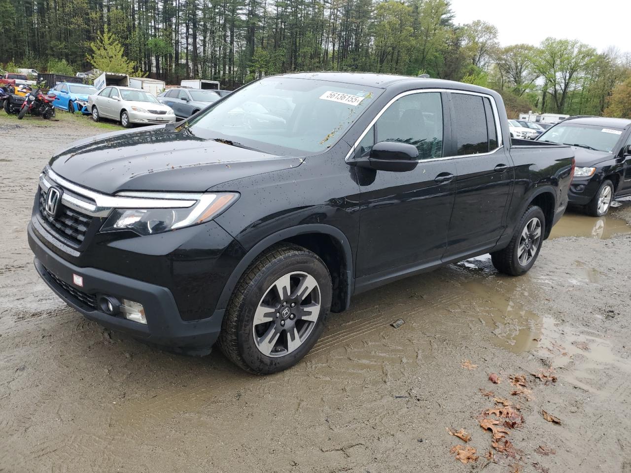 HONDA RIDGELINE RTL