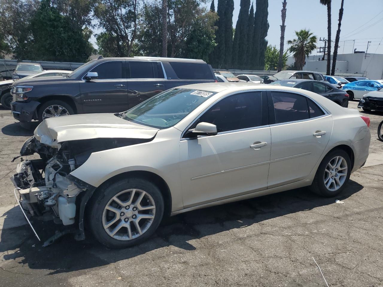 CHEVROLET MALIBU 1LT