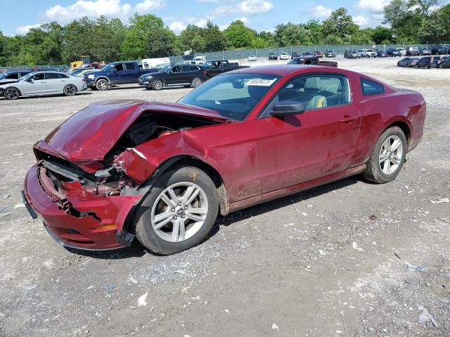 Vin: 1zvbp8am6e5314120, lot: 58638475, ford all models 2014 img_1