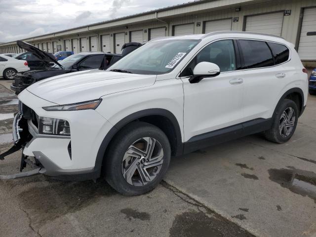 Vin: 5nms2daj5ph597982, lot: 56572795, hyundai santa fe sel 2023 img_1