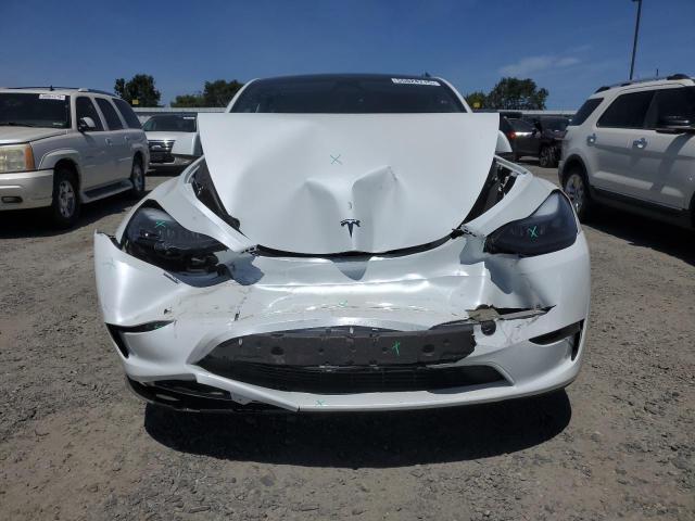 2023 TESLA MODEL Y - 7SAYGAEE0PF668825