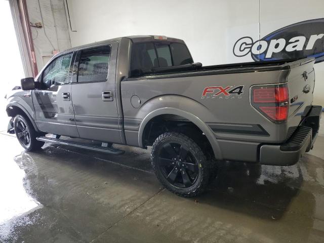 Vin: 1ftfw1etxefb99001, lot: 55340675, ford f-150 supercrew 20142