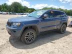 2020 JEEP GRAND CHEROKEE TRAILHAWK - 1C4RJFLG9LC340766