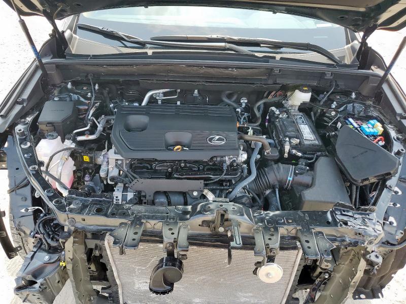 2025 LEXUS NX 250 BAS 2T2ADCAZ2SC022917