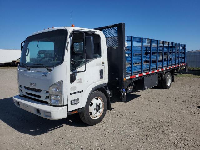 ISUZU NRR 2017 white tilt cab diesel JALE5W161H7300046 photo #1