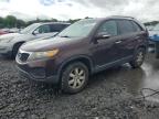 Top Destinations for Shipping Cars from the USA