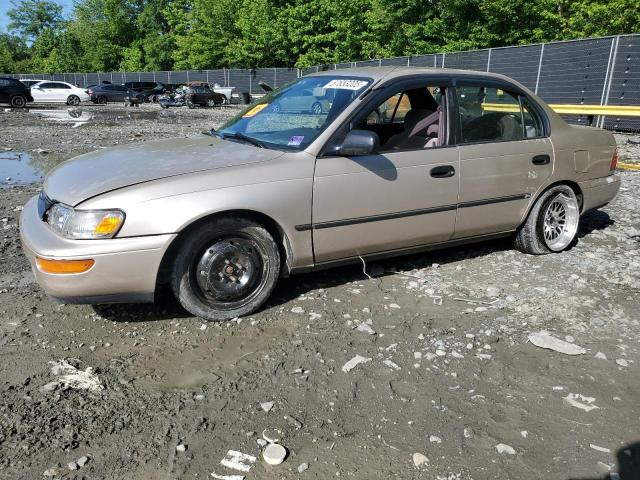 TOYOTA COROLLA LE