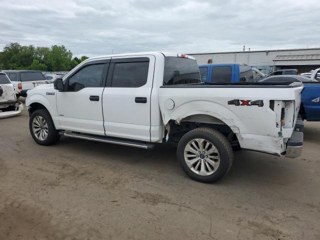 Vin: 1ftew1eg6fkf19504, lot: 56838255, ford f-150 supercrew 20152