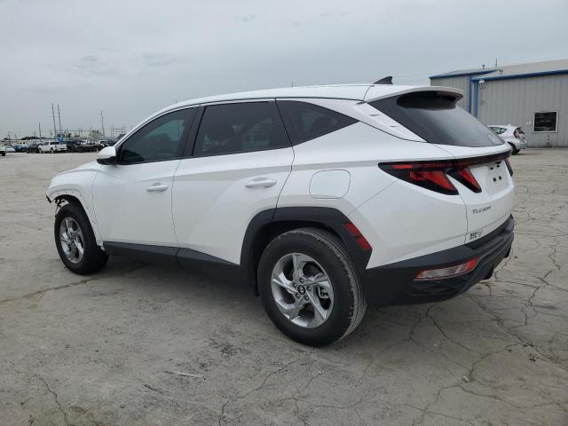 2024 HYUNDAI TUCSON SE - 5NMJA3DE8RH429845