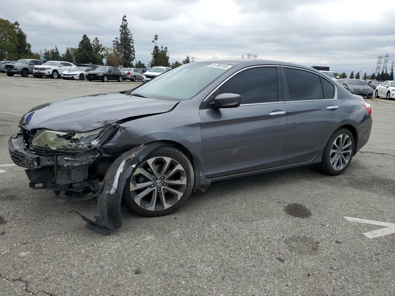 HONDA ACCORD SPORT