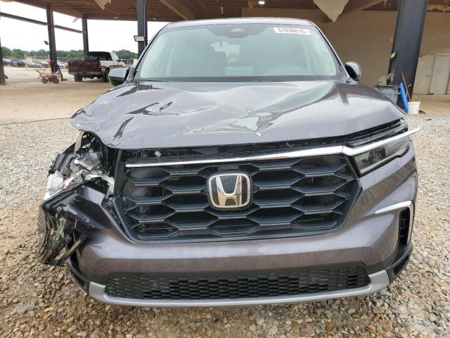 2024 HONDA PILOT EXL - 5FNYG2H57RB016317