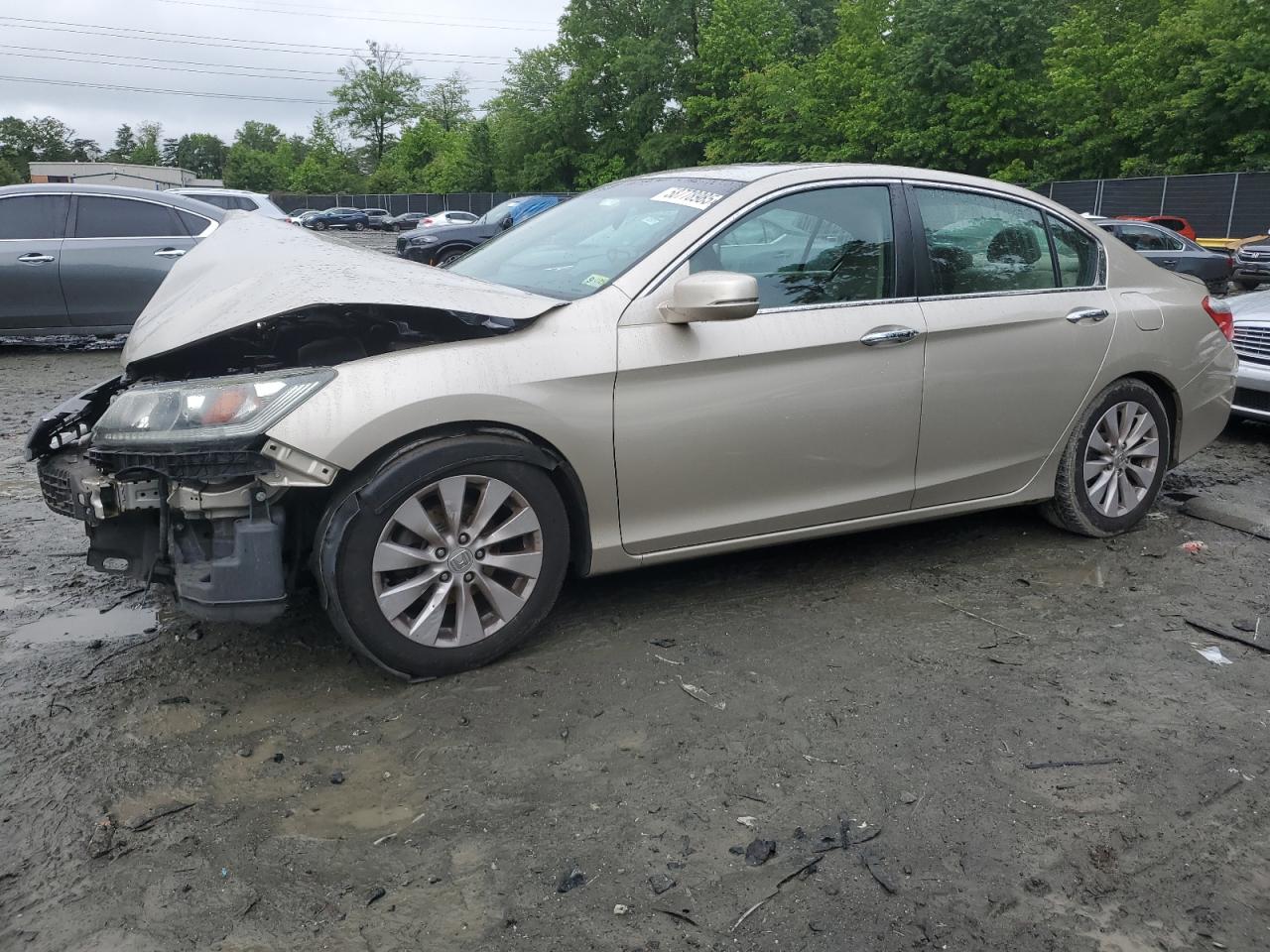 HONDA ACCORD EX