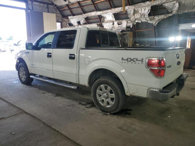 Vin: 1ftfw1et3efc16883, lot: 58385965, ford f-150 supercrew 20142