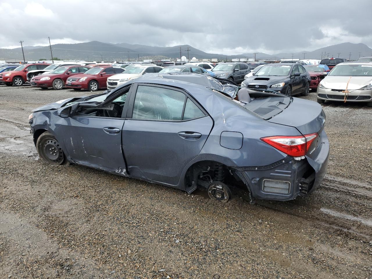 Global Auto Auctions