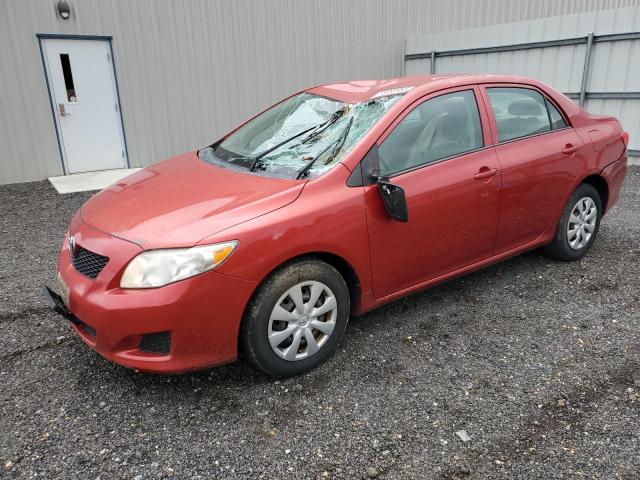 Vin: 1nxbu4ee2az363768, lot: 58085955, toyota corolla base 2010 img_1