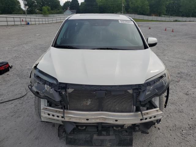 2019 HONDA PILOT EXL - 5FNYF6H56KB045761