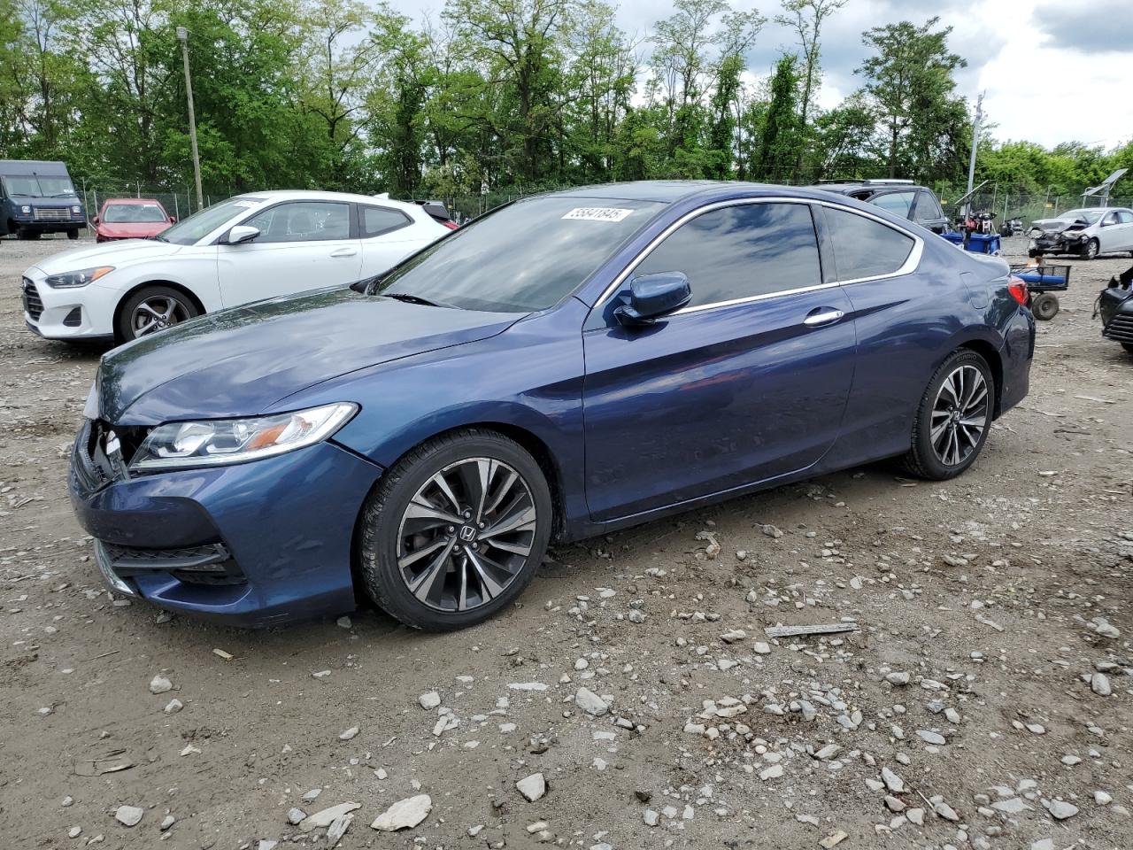 HONDA ACCORD EXL