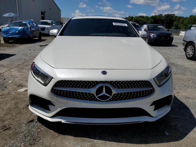 2019 MERCEDES-BENZ CLS 450 WDD2J5JB5KA027944