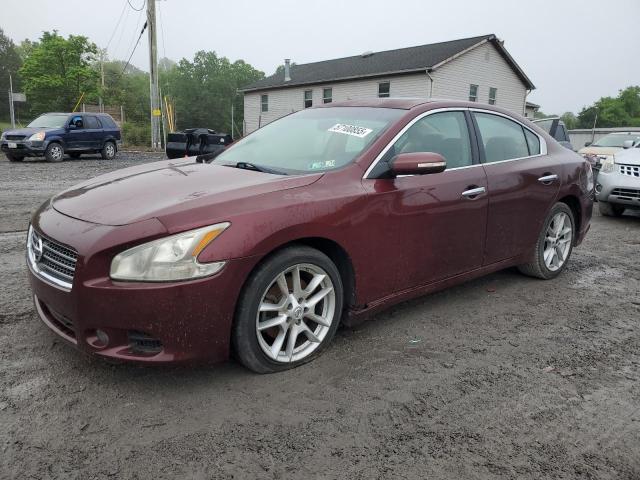 Vin: 1n4aa5ap7ac836369, lot: 57100855, nissan maxima s 2010 img_1