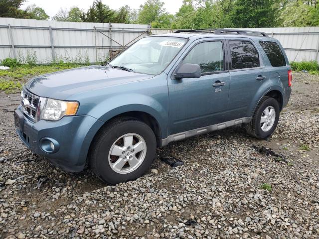 Vin: 1fmcu0d78aka78343, lot: 55365835, ford escape xlt 2010 img_1