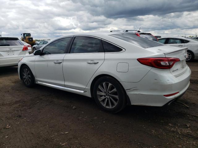 2017 HYUNDAI SONATA SPO - 5NPE34AF8HH554876