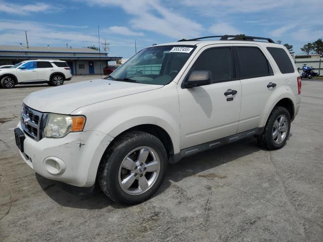 Vin: 1fmcu0dg4akc35463, lot: 55522455, ford escape xlt 2010 img_1