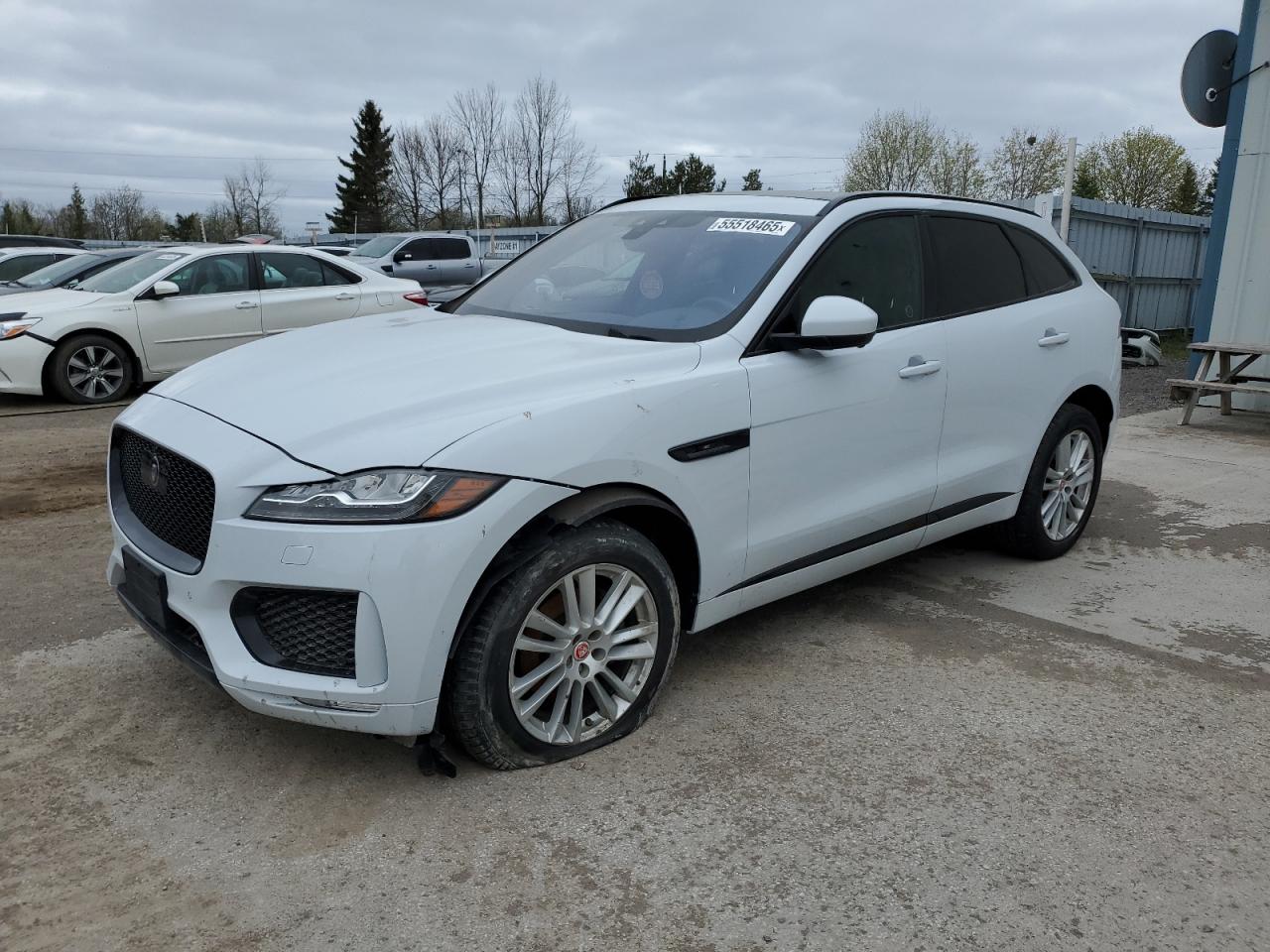JAGUAR F-PACE CHECKERED FLAG