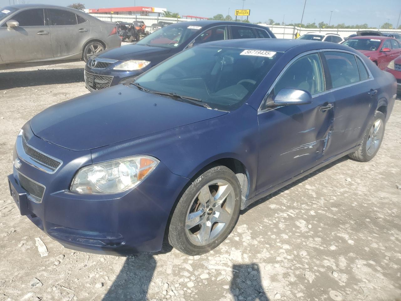 CHEVROLET MALIBU 1LT