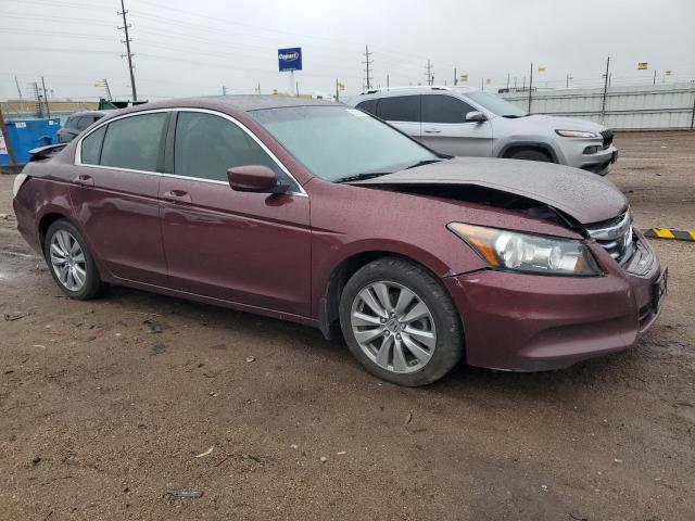 Vin: 1hgcp2f81ba131616, lot: 58096845, honda accord exl 20114