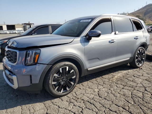 KIA TELLURIDE 2024 gray  gas 5XYP54GC9RG530420 photo #1