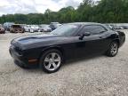 2019 DODGE CHALLENGER - 2C3CDZAG3KH733406