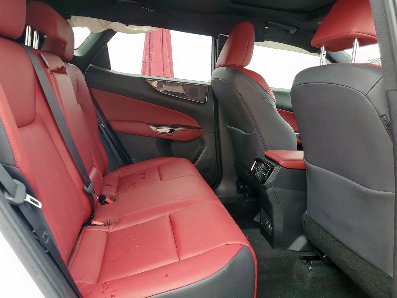 2024 LEXUS NX 250 PRE JTJGDCAZ1R5015072