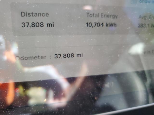 2023 TESLA MODEL Y - 7SAYGAEE3PF772614