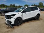 2019 FORD ESCAPE SE - 1FMCU0GD5KUB22046