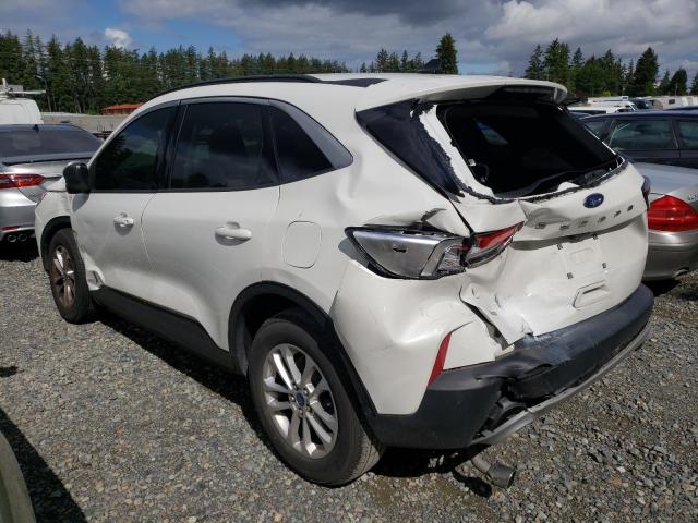 Vin: 1fmcu0g62nub60341, lot: 54670255, ford escape se 20222