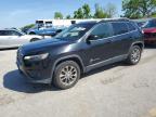 2019 JEEP CHEROKEE L - 1C4PJMLBXKD395753