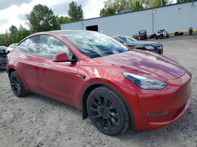Vin: 7saygdee3rf196043, lot: 55693765, tesla model y 20244
