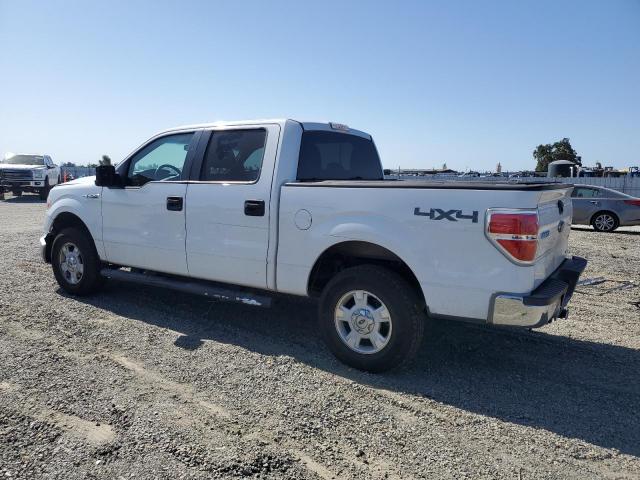 Vin: 1ftfw1efxdfd84495, lot: 58094205, ford f-150 supercrew 20132