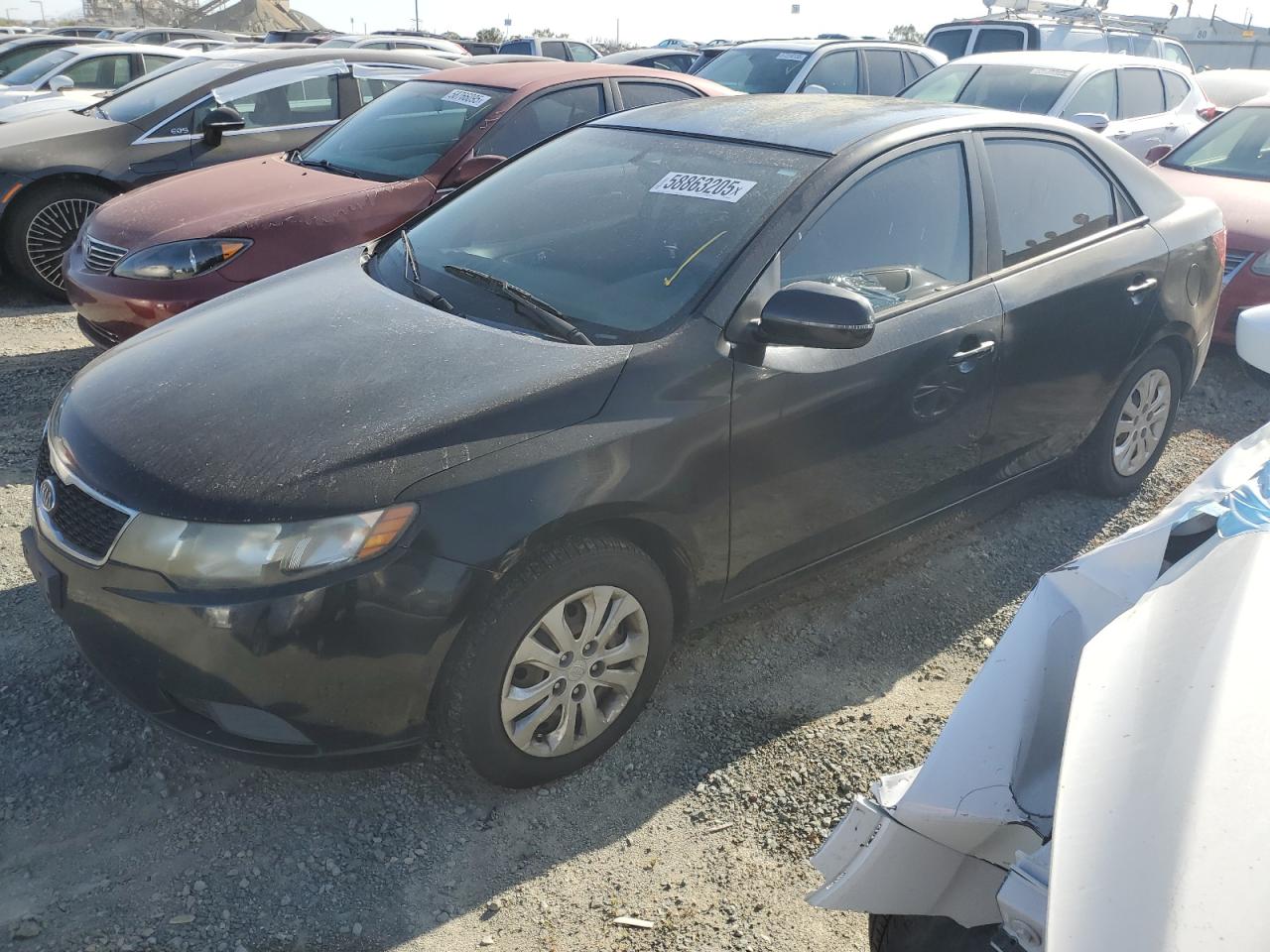 Lot #3187441446 2013 KIA FORTE EX