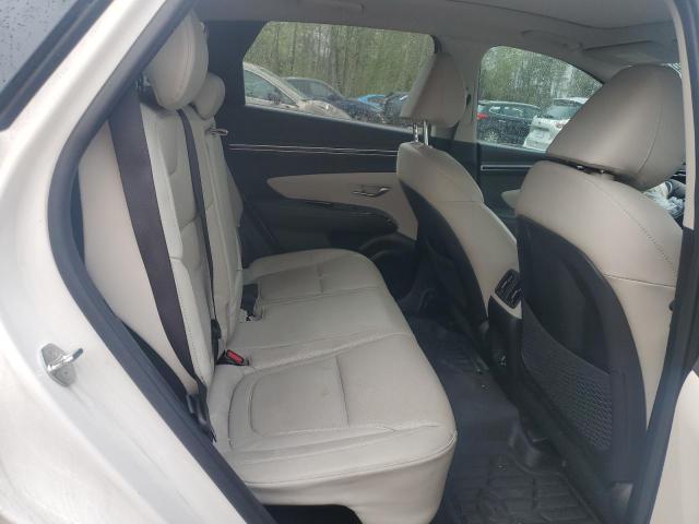 2023 HYUNDAI TUCSON LUX KM8JCCA17PU105413