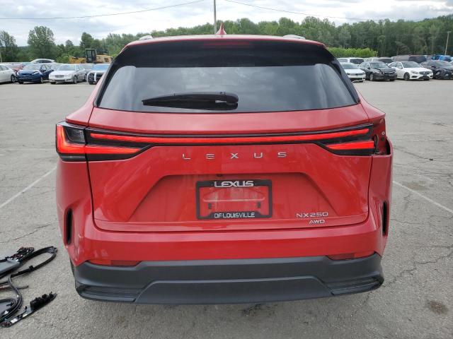 2023 LEXUS NX 250 2T2ADCEZ7PC002924