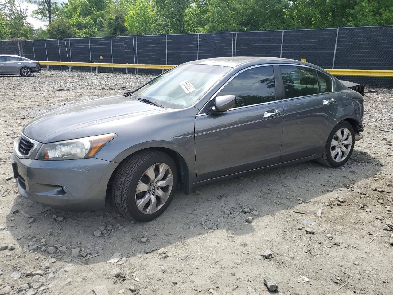 HONDA ACCORD EXL