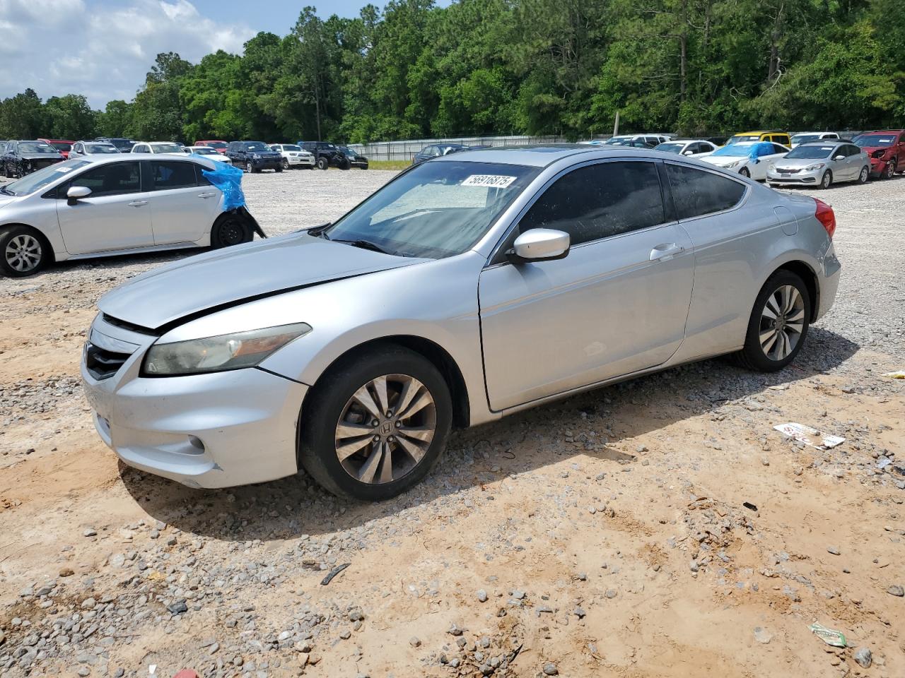 HONDA ACCORD EXL