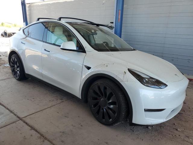 2023 TESLA MODEL Y - 7SAYGDEF1PF778700