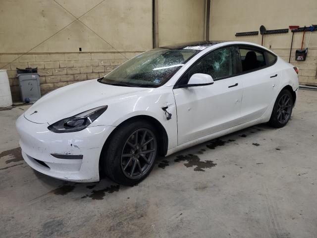 Vin: 5yj3e1ea9pf436217, lot: 58510795, tesla model 3 2023 img_1