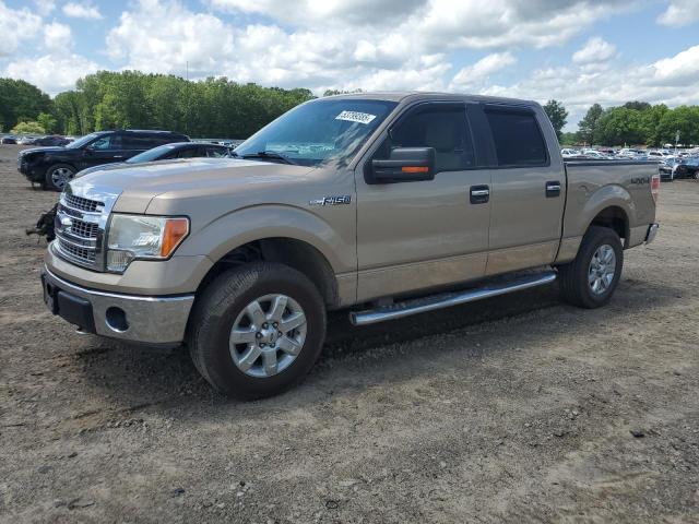 Vin: 1ftfw1ef8dkg25672, lot: 53799385, ford f-150 supercrew 2013 img_1