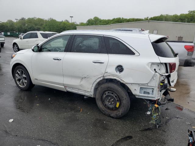 Vin: 5xypkda5xkg494410, lot: 56628425, kia sorento sx 20192