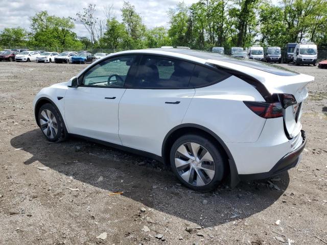 2023 TESLA MODEL Y 7SAYGDEE2PF804244
