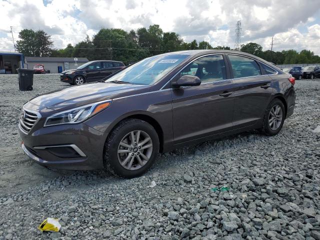 Vin: 5npe24af0gh288724, lot: 56555535, hyundai sonata se 2016 img_1