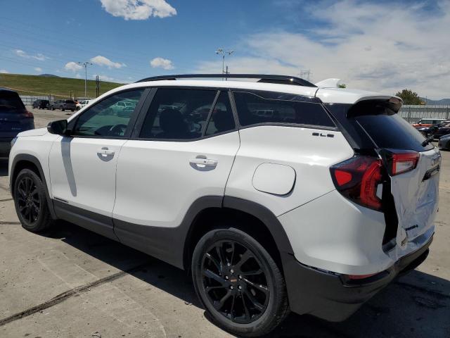Vin: 3gkalteg3rl326818, lot: 57829285, gmc terrain sle 20242
